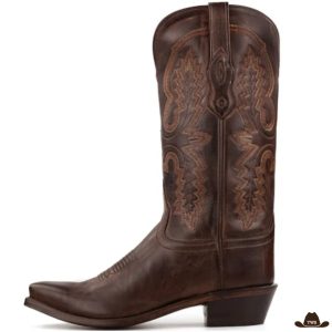 Bottes Cuir Homme Western