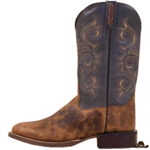 Bottes Cowboy Homme Vintage