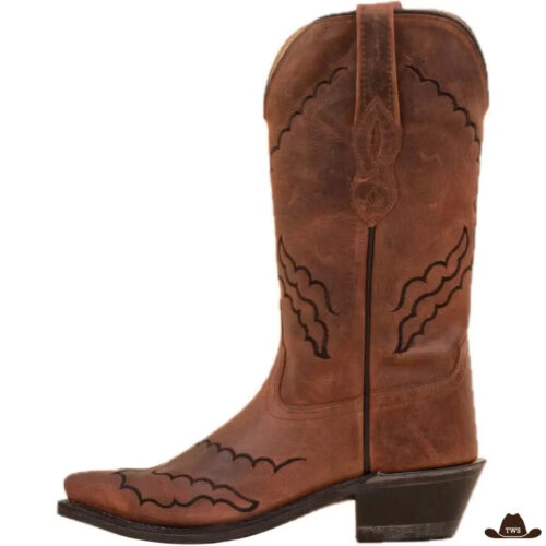 BottesStyleCowboy.jpg Bottes Style Cowboy