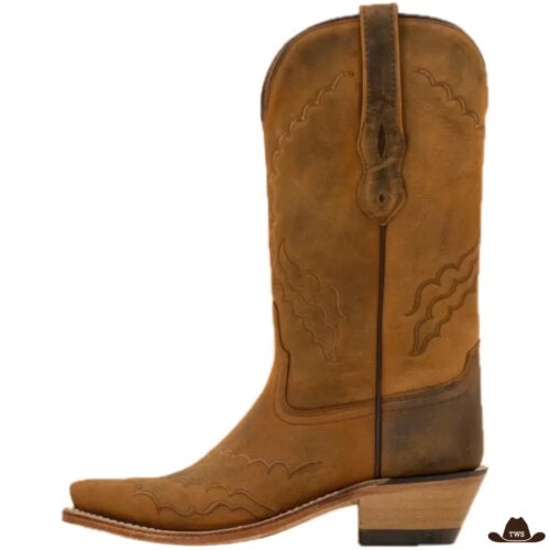 BottesdeCowboy.jpg Bottes de Cowboy