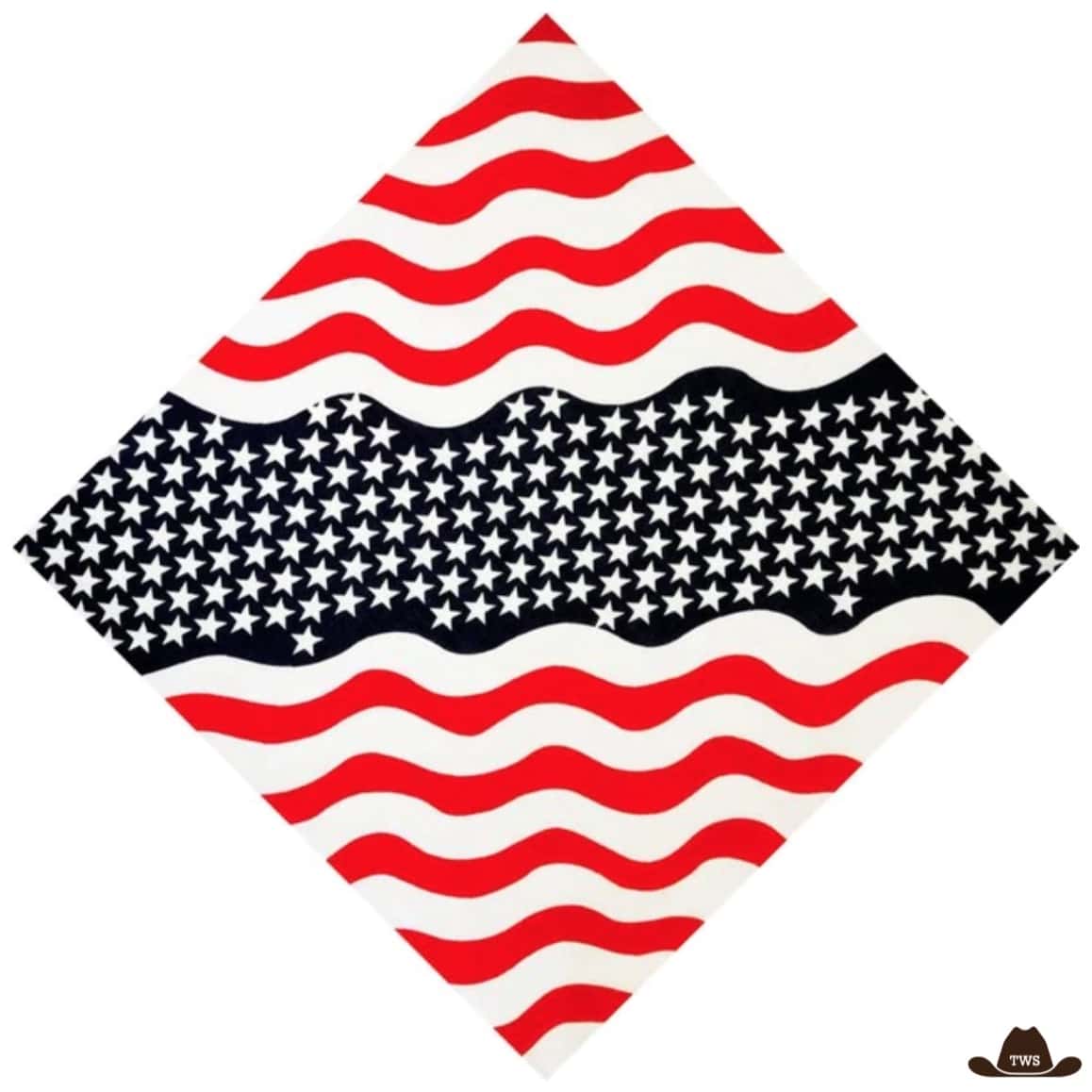 Bandana Western USA – Image 3
