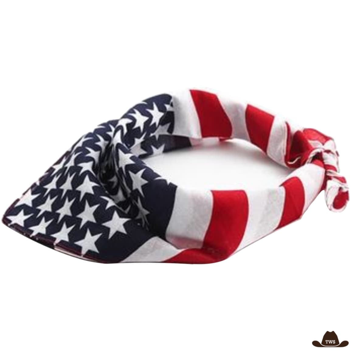 Bandana Western USA