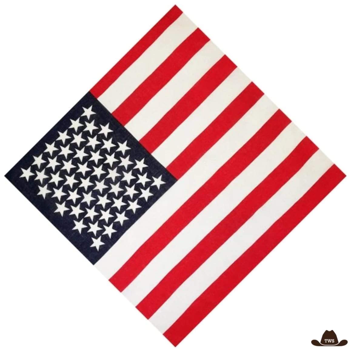 Bandana Western USA – Image 2