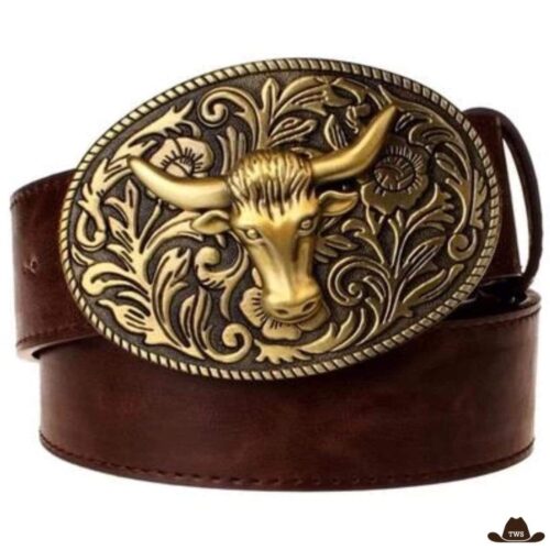 ceinture-cowboy-tendance-939714.jpg Ceinture Cowboy Tendance