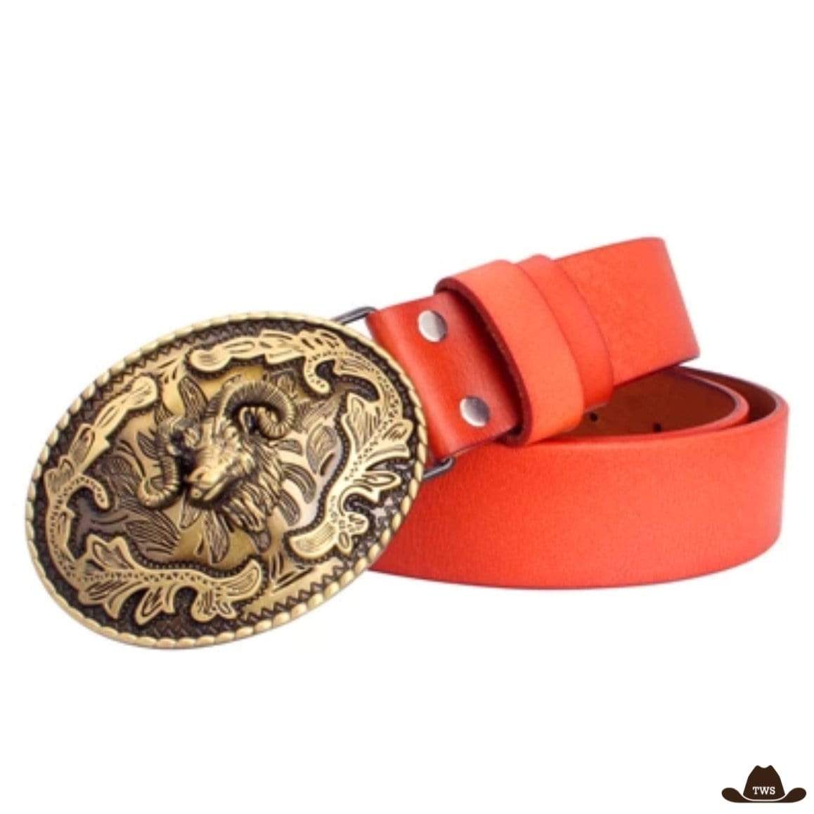 Ceinture en Cuir Motif Western – Image 4