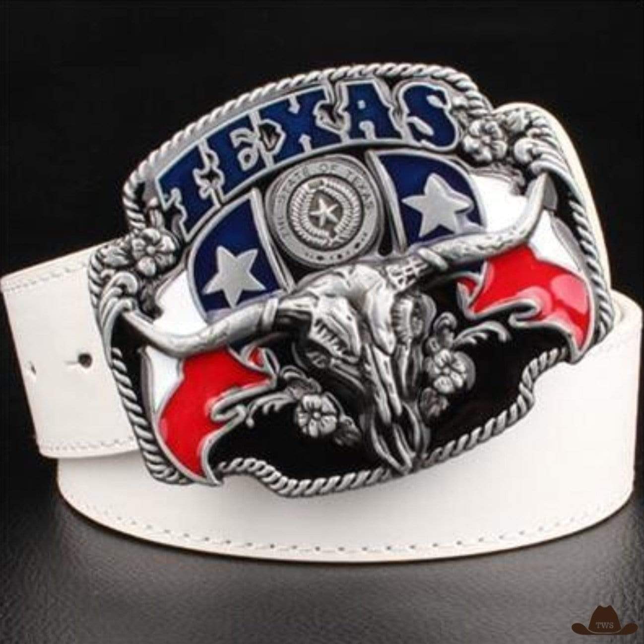 Ceinture Texas – Image 2