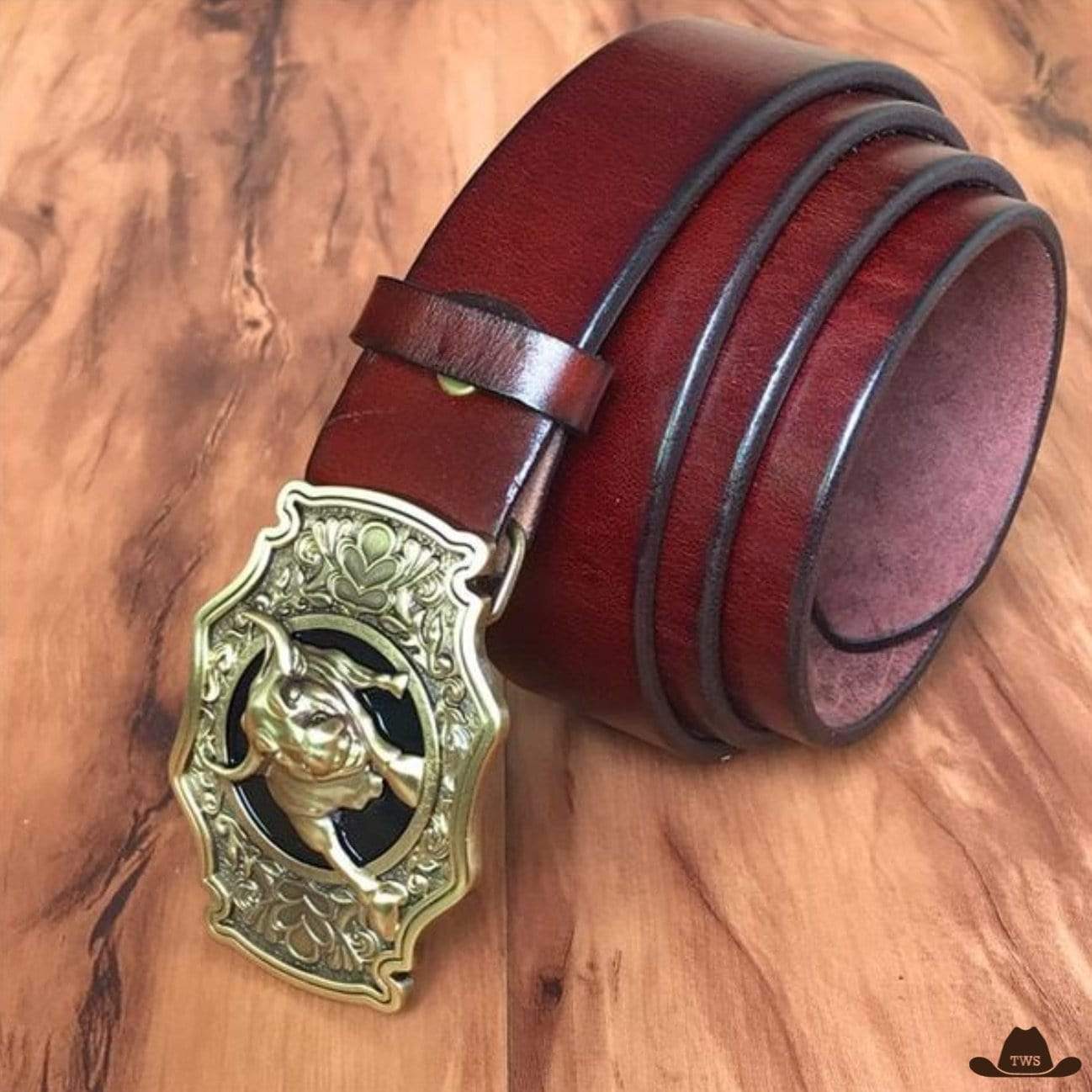 Ceinture Western Country Homme – Image 4