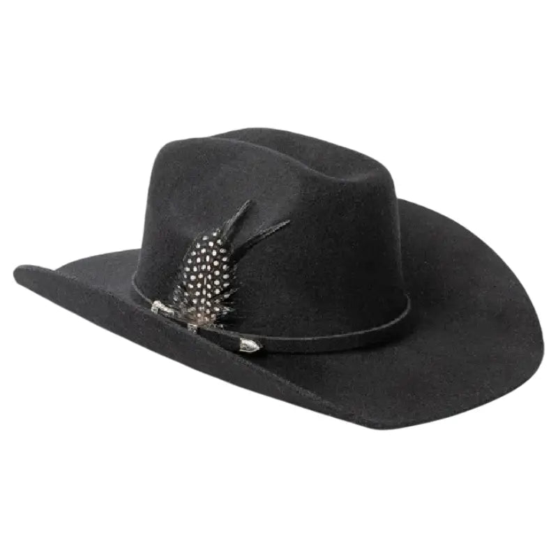 Chapeau de Cowboy avec Plume