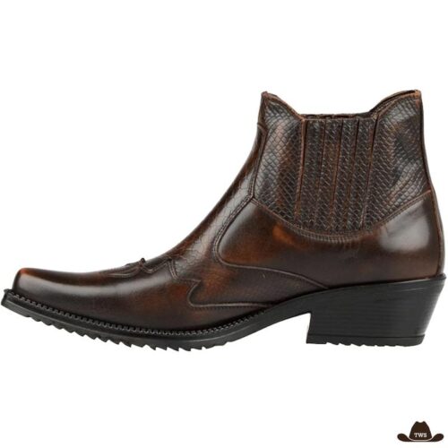 Santiags Courtes Homme