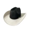 Chapeau de style western en suédine végane